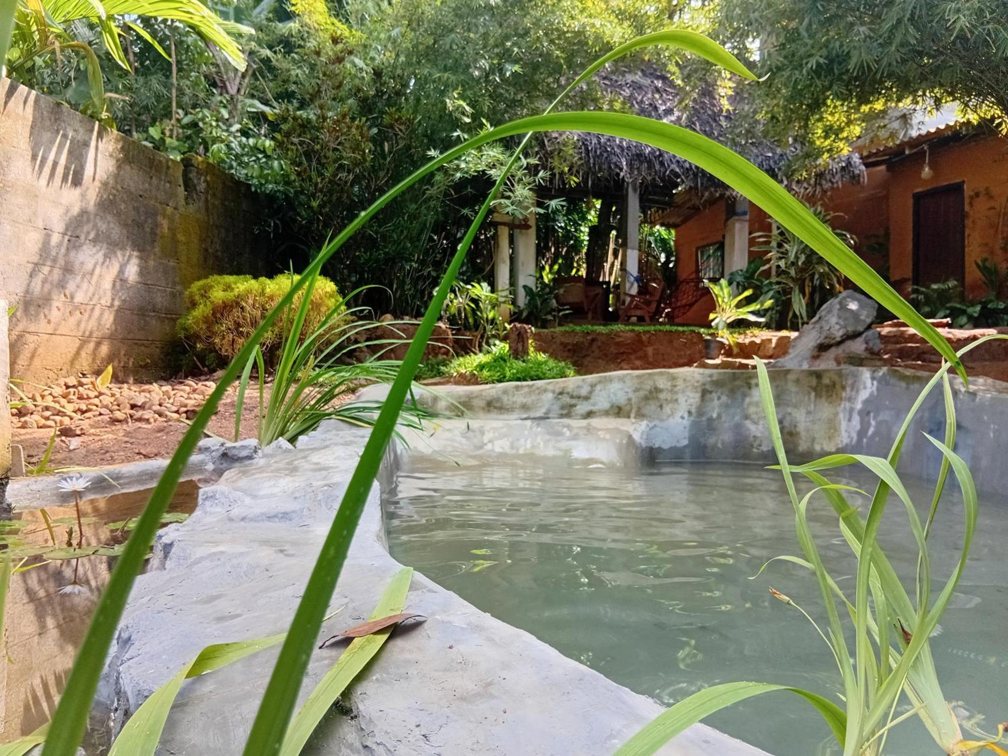 Ancient Gardens Villa พินนาวาลา ภายนอก รูปภาพ