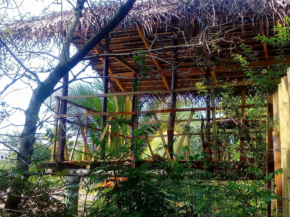 Ancient Gardens Villa พินนาวาลา ภายนอก รูปภาพ
